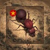 多多看剧