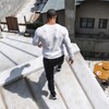 糖芯小说免费版